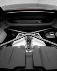 2023 Audi R8 Coupe V10 Performance RWD for sale in Dubai — photo 15 of 15